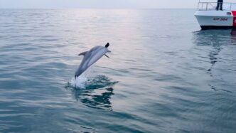 Recovery Of Illegal Fishing Ne