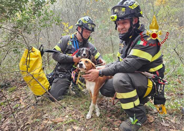 Recuperati Con Successo Due Ca