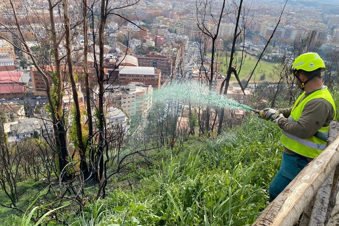 Riflessioni Sulla Rinascita De
