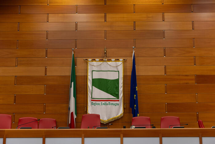 Rinnovo Dell27Assemblea Regiona