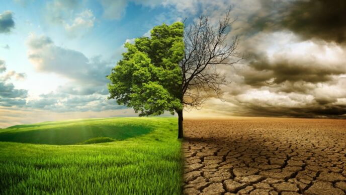 Riscaldamento Globale3A Le Nuov