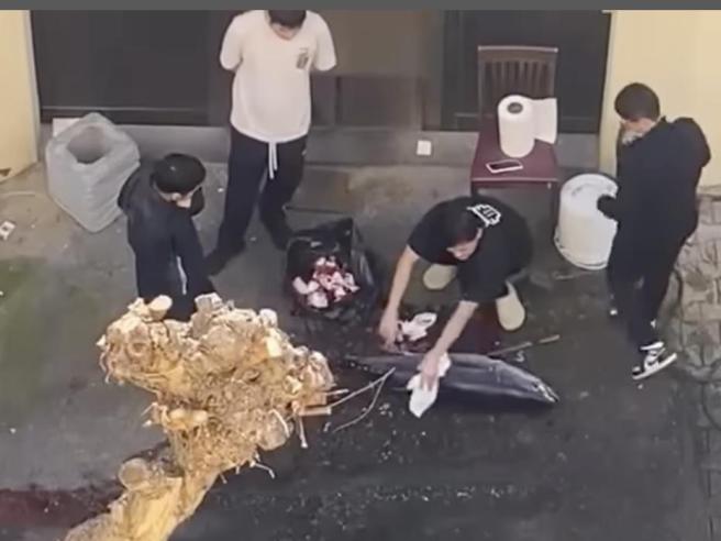 Ristoratori Al Centro Di Polem