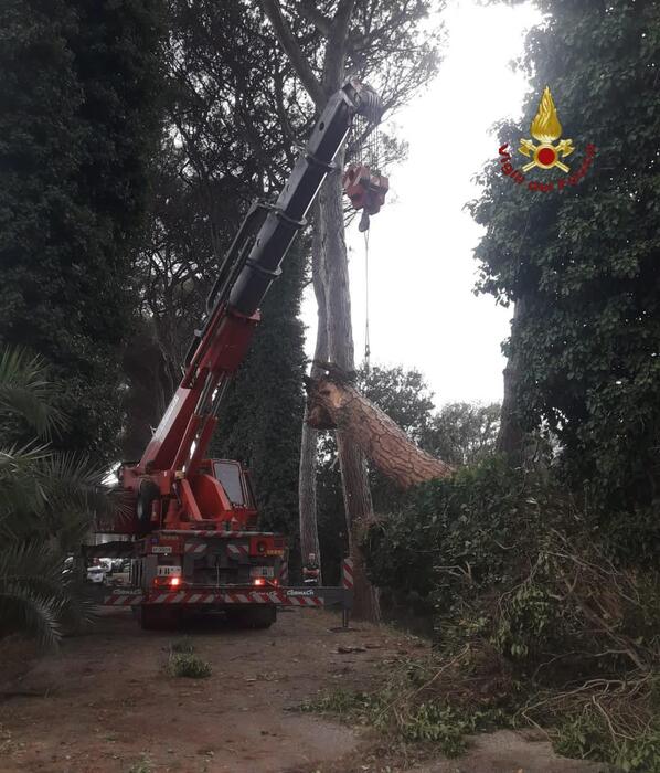 Roma3A Incidente Mortale E Feri