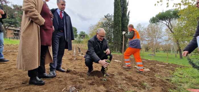 Roma Avvia Un Piano Di Riquali
