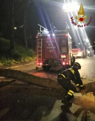 Roma Colpita Da Forte Vento3A 9