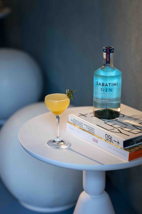 Sabatini Gin Presenta My Home