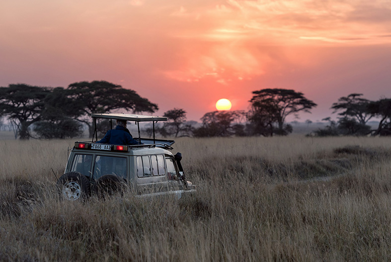 Scopri Il Sudafrica3A Un27Avvent