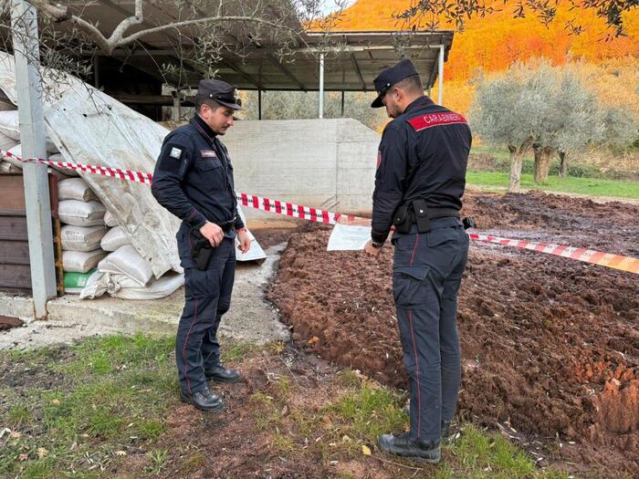 Sequestri Di Frantoio Oleario