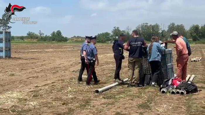 Settore Agricolo In Italia3A 20