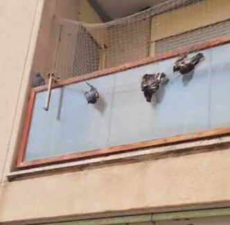 Situazione Critica A Latina3A I