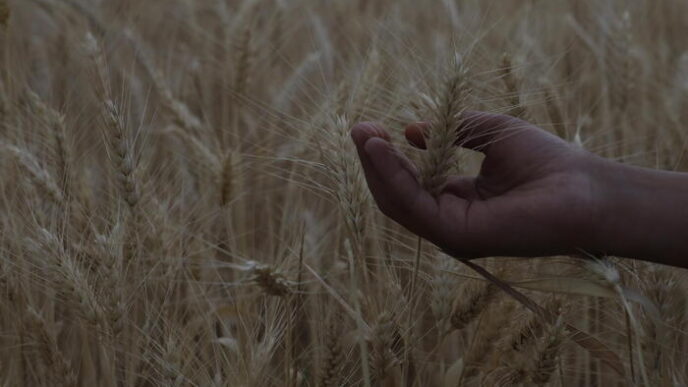 Sostegno Agli Agricoltori3A Pro