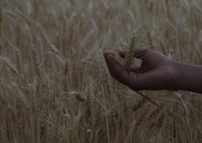 Sostegno Agli Agricoltori3A Pro