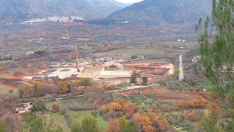 Taglio Di 317 Ulivi A Sulmona3A