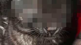 Tavola Di Maltrattamenti3A Uomo