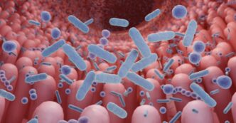 Test Sul Microbiota3A Raccomand