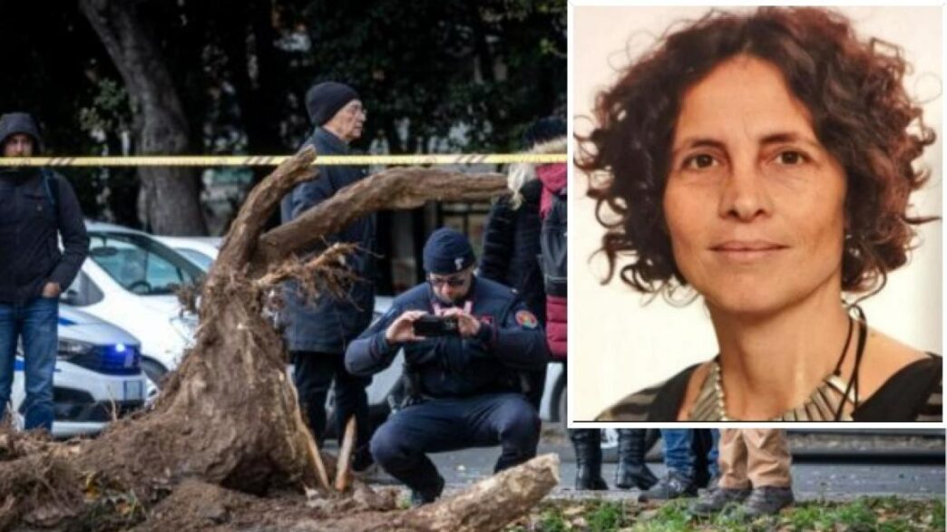 Tragedia A Roma3A Un Albero Sch