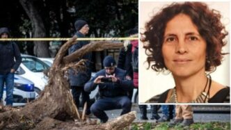 Tragedia A Roma3A Un Albero Sch