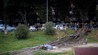 Tragico Crollo Di Un Albero A