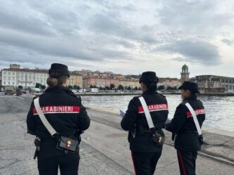 Trieste3A I Dati Delle Forze De