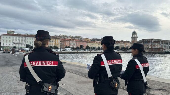Trieste3A I Dati Delle Forze De