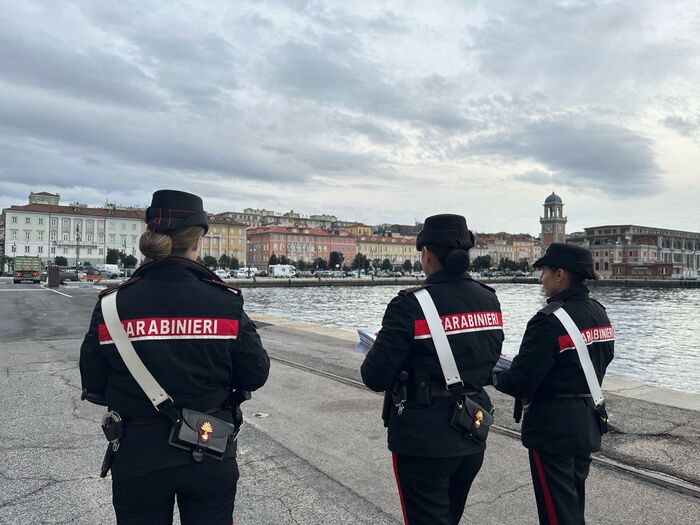 Trieste3A I Dati Delle Forze De