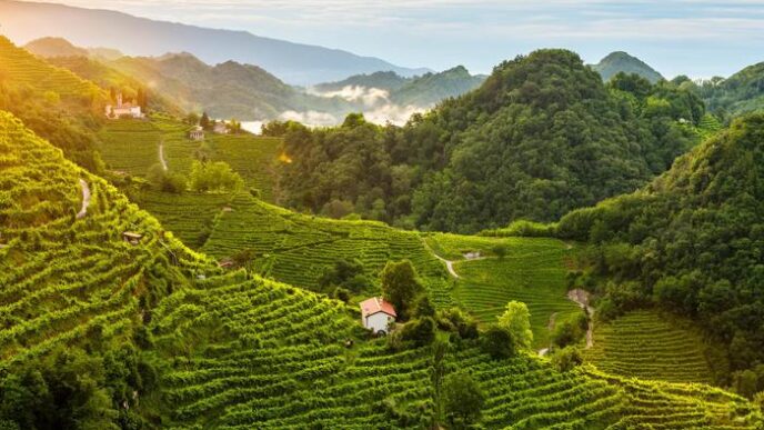 Turismo In Crescita Alle Colli