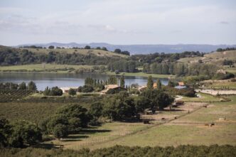 Un Connubio Perfetto Tra Agric