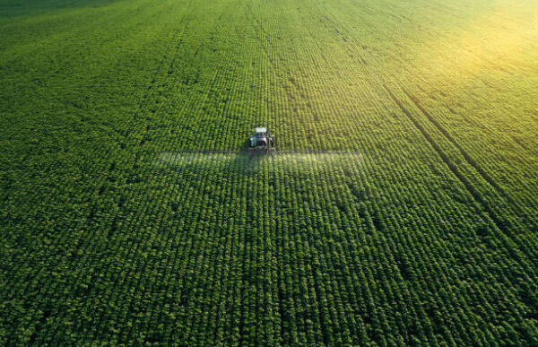 Un Giubileo Agro Ambientale Pe