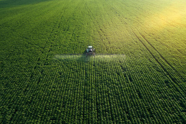 Un Giubileo Agro Ambientale Pe