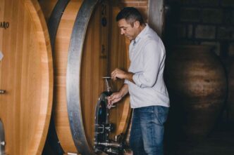 Un Viaggio Sensoriale Tra Vino