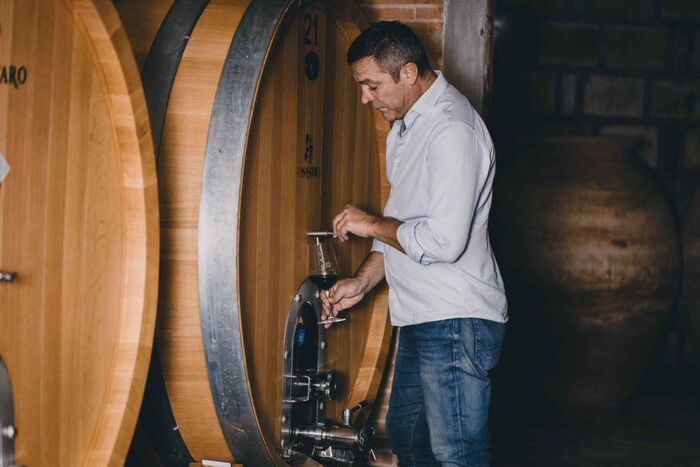Un Viaggio Sensoriale Tra Vino
