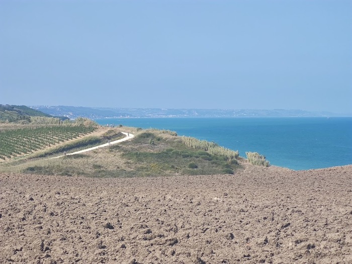 Vasto3A Si Discute Del Problema
