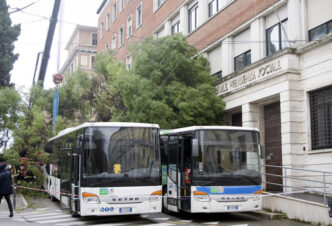 Venti Forti Ad Ancona Causano