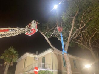 Vigilia Di Natale A Senigallia