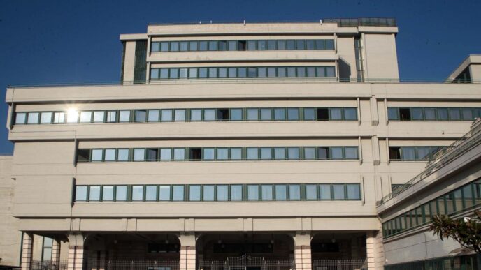 Violenza Domestica A Frosinone