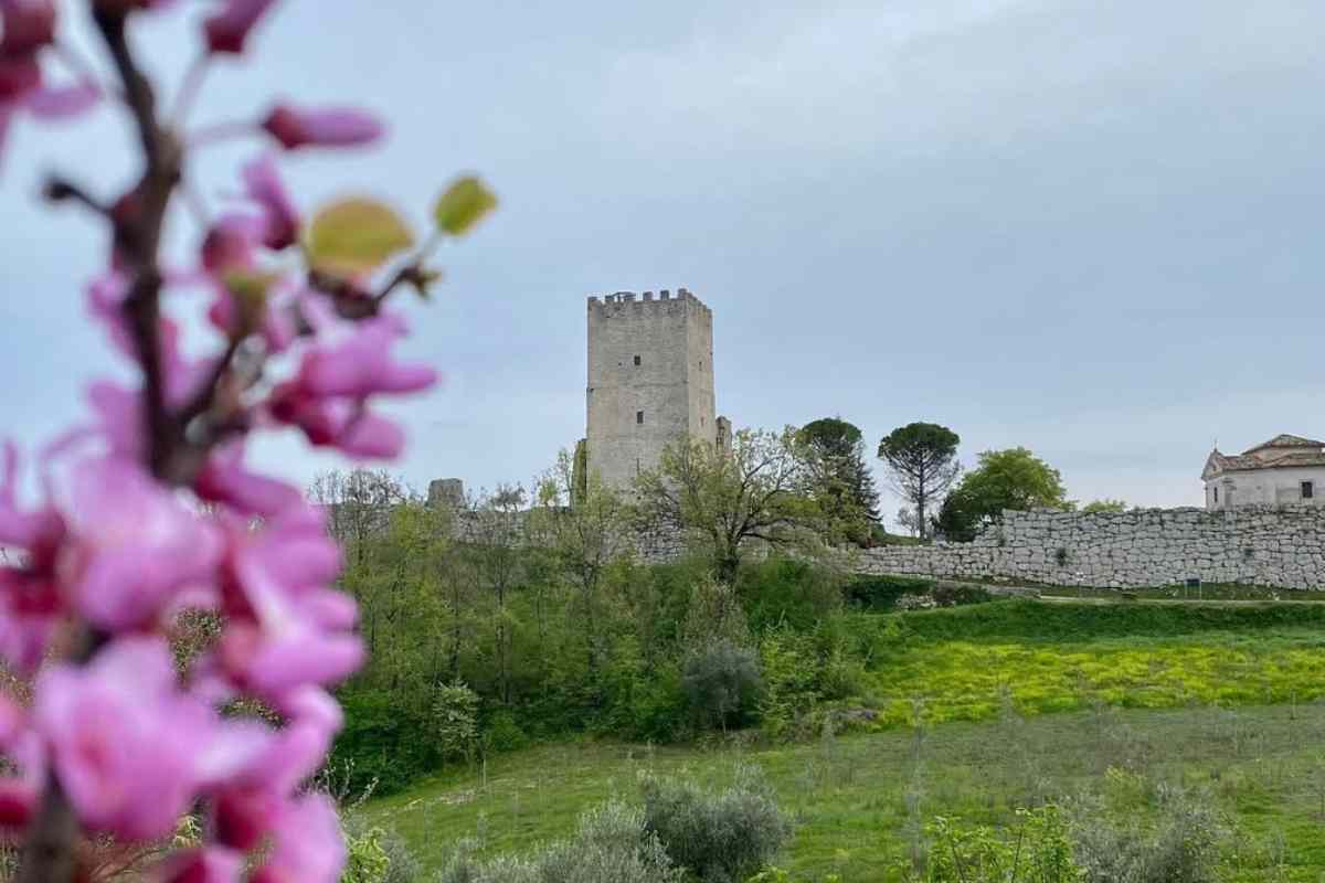 Culla Di Marco Tullio Cicerone: Questo Borgo È Antichissimo E Da Sempre Attrae Migliaia Di Turisti 6 Dove Si Trova Arpino