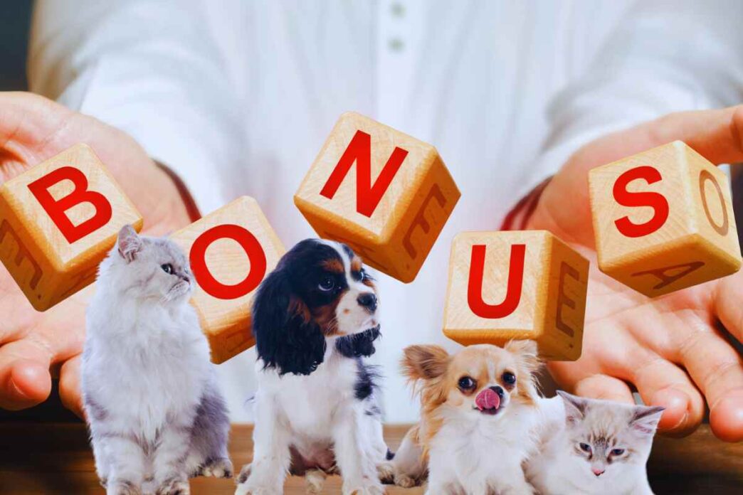 Bonus Animali