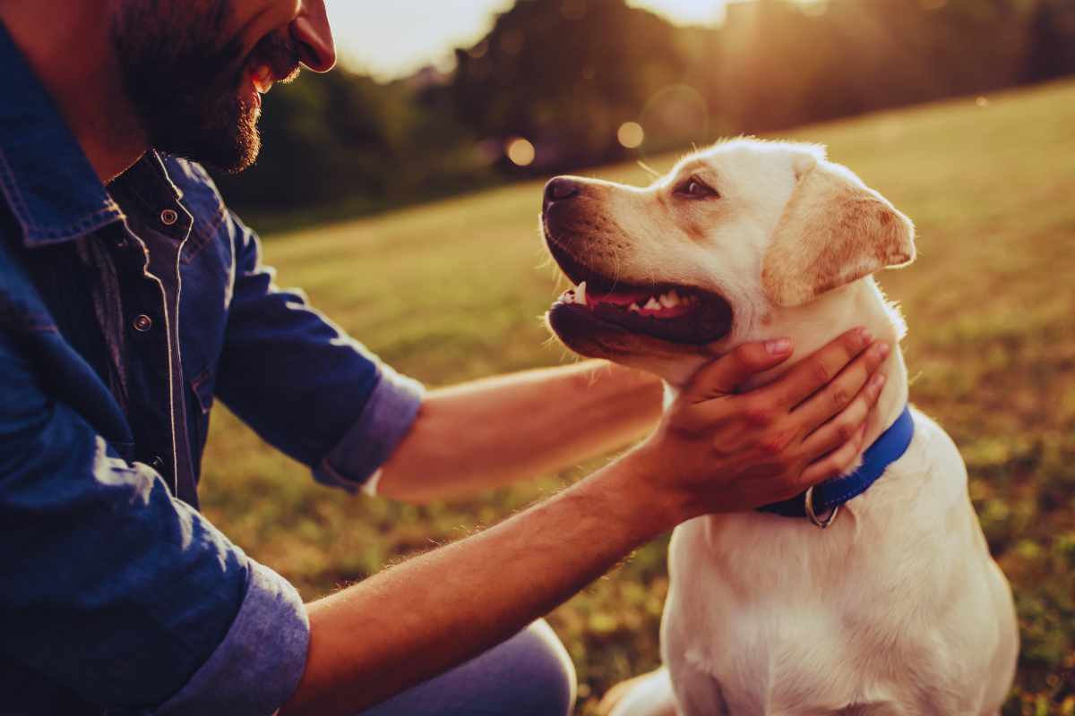 Bonus Animali, La Novità Che Aiuterà Le Famiglie Con Le Spese: Cifre Corpose E Domande Facilissime 5 Chi Può Avere Il Bonus Animali