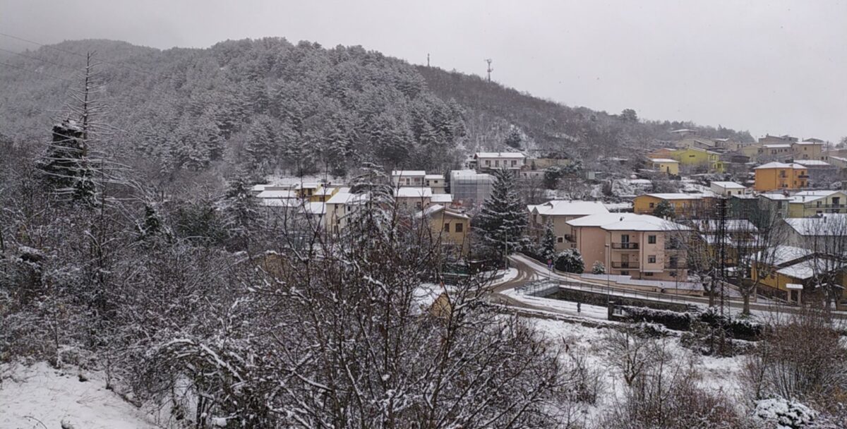 Foto1