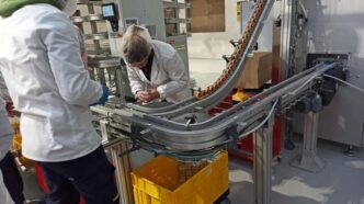 Incremento Dell27Occupazione In