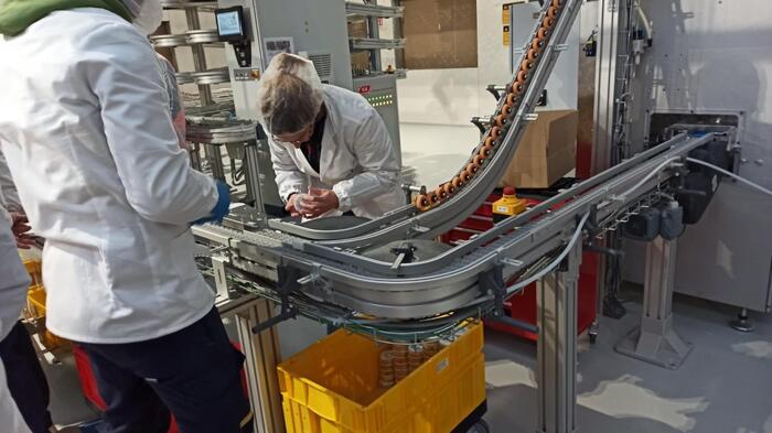 Incremento Dell27Occupazione In