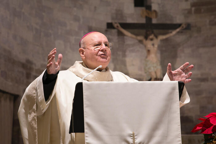800 Anni Del Cantico Delle Cre