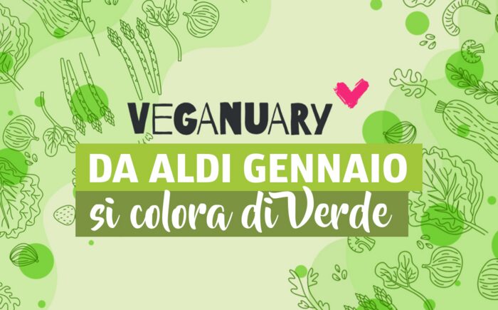 Aldi Italia Lancia L27Iniziativ