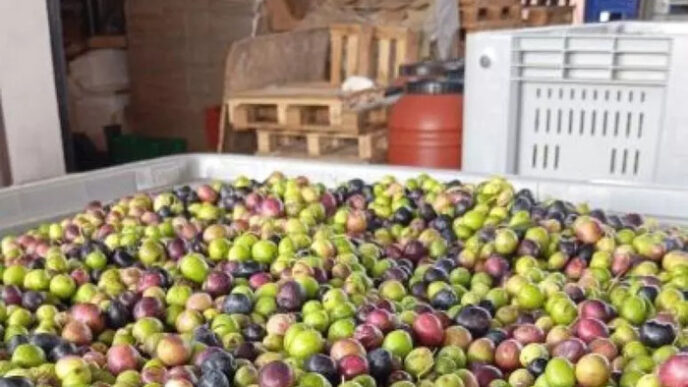 A Perugia Si Svolgerc3A0 Il Conco