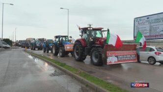 Agricoltori2C Allevatori E Pesc