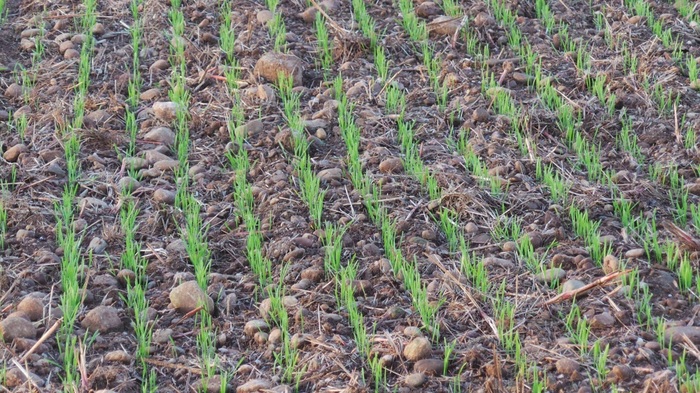 Agricoltori Delle Marche In Al
