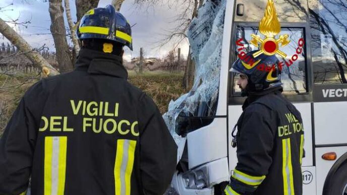 Albero Crolla Su Scuolabus A R