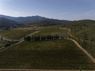 Anteprima Dei Vini Toscani3A Un