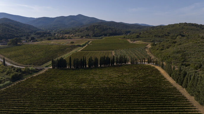 Anteprima Dei Vini Toscani3A Un