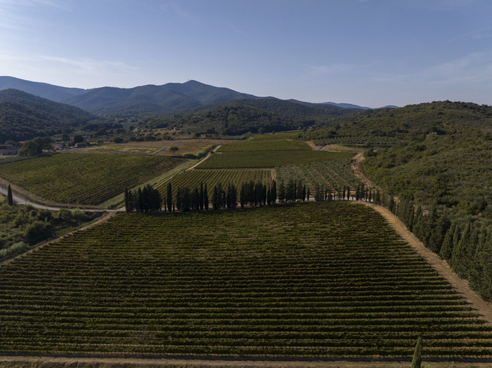 Anteprima Dei Vini Toscani3A Un